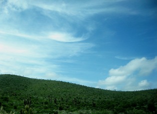 Coahuila landscape